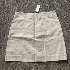 Shimmery Skirt from Loft